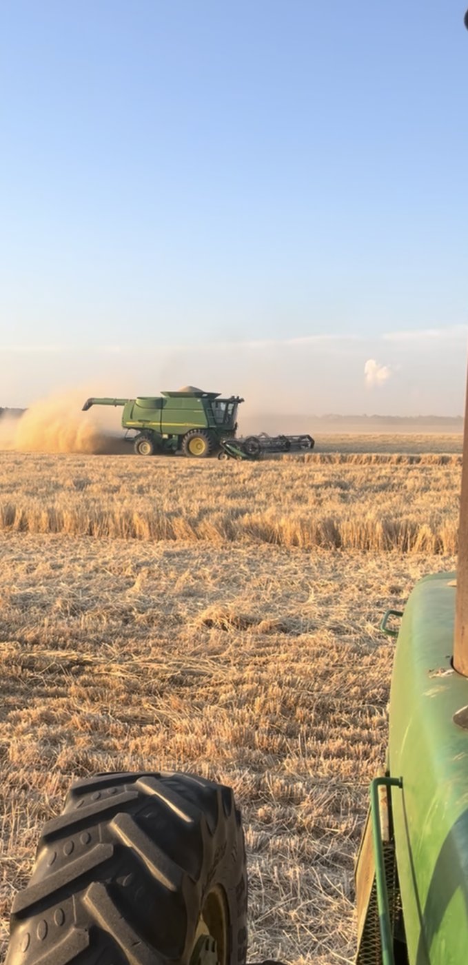Harvesting into the evening