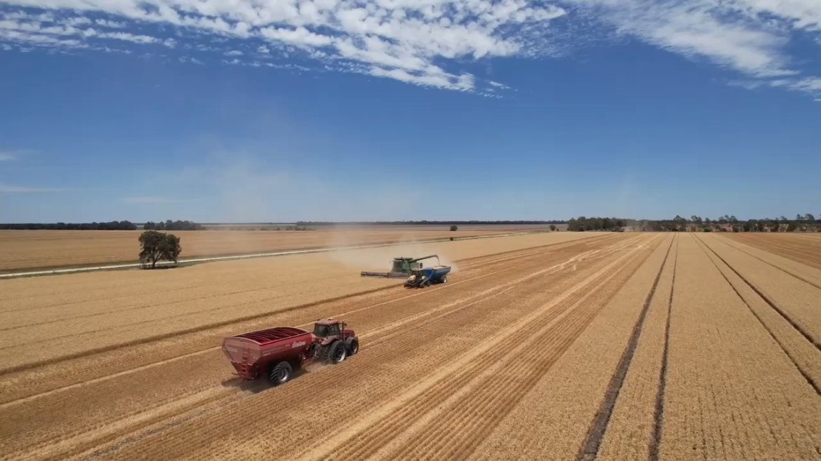 Aerial view of a header and chaser bin at harvest