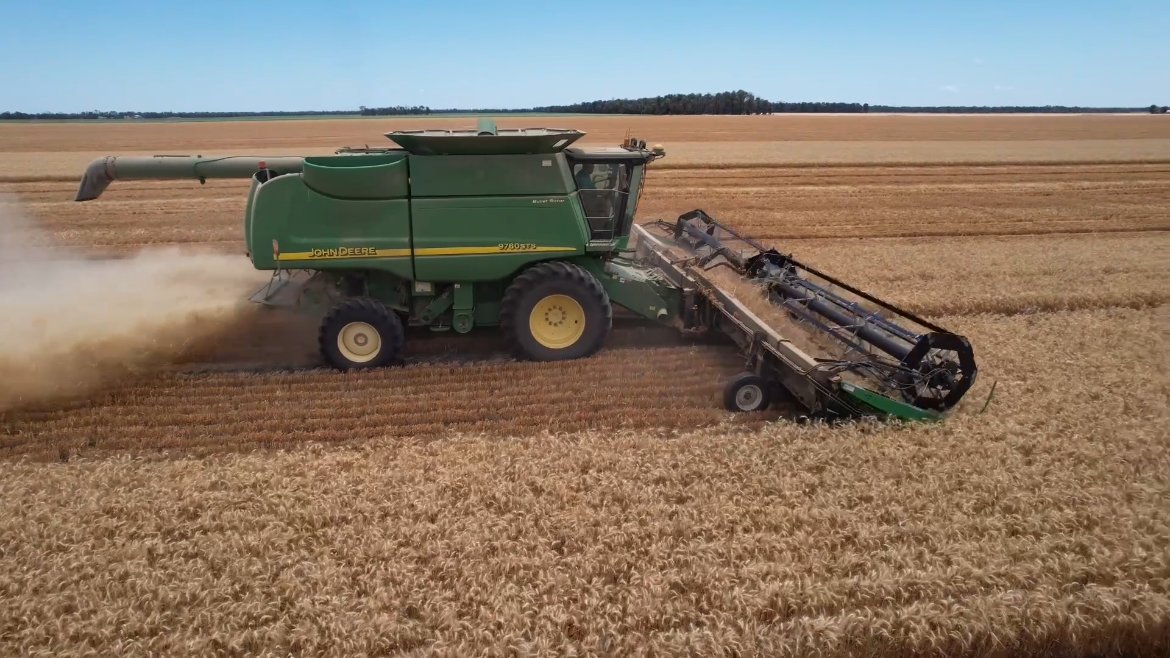 John Deere header stripping a wheat crop